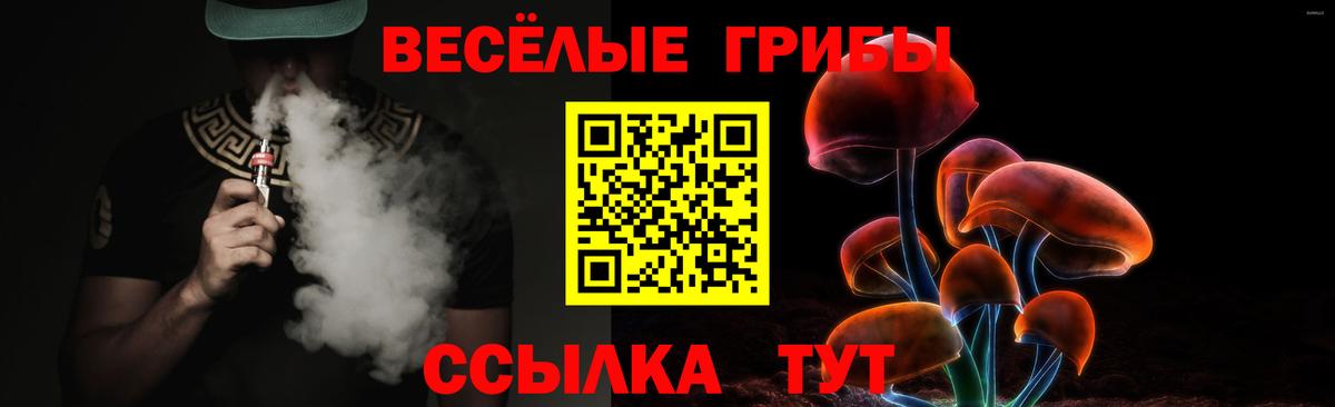 Псилоцибиновые грибы мицелий  что такое наркотик  Кимры  Вход с VPN 
